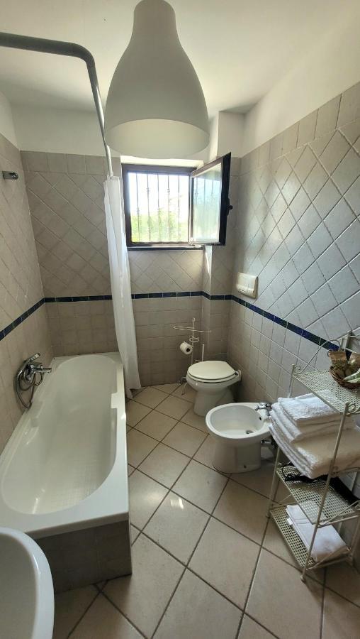 Bed & Breakfast Domus Olea