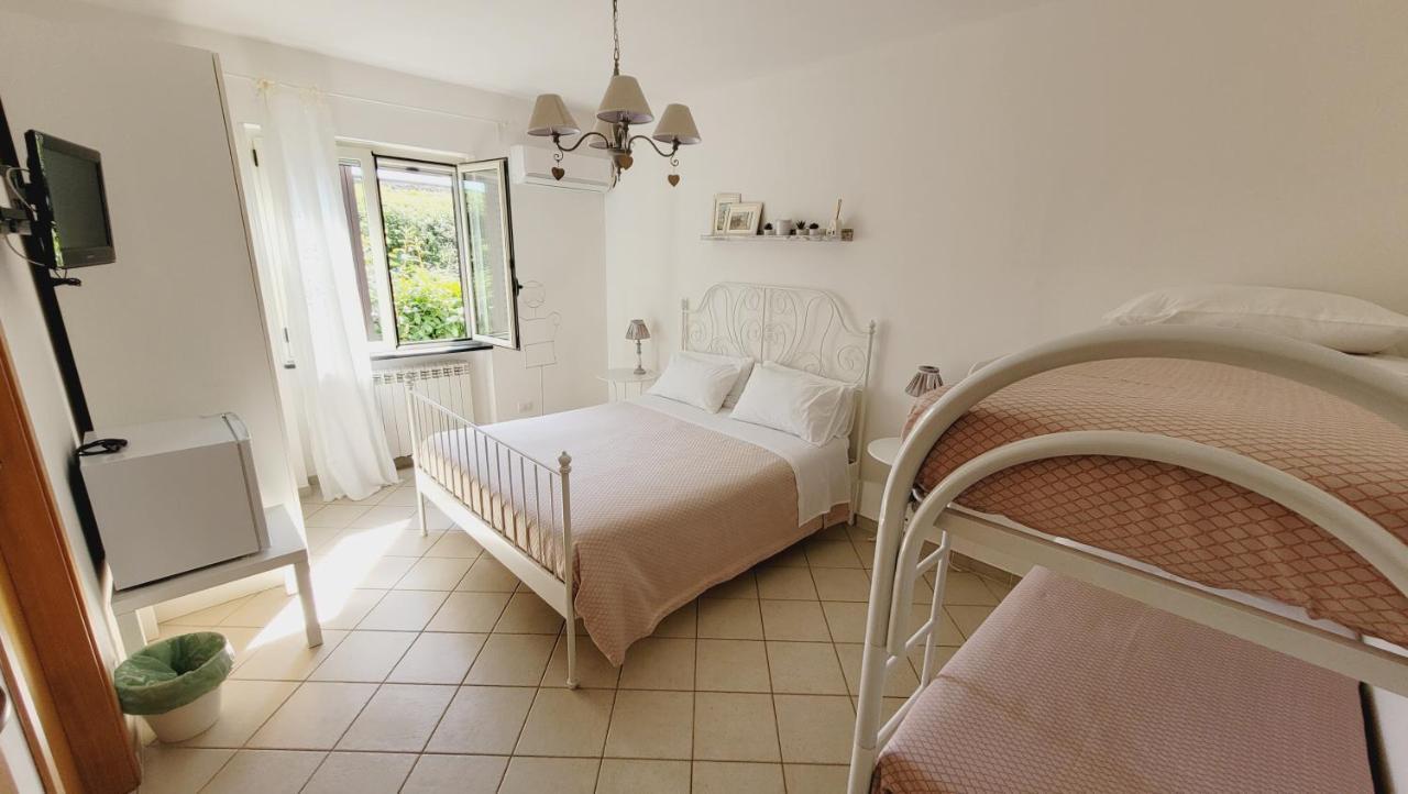 Domus Olea Bed & Breakfast