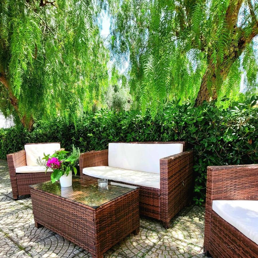 Domus Olea Bed & Breakfast Policastro Bussentino